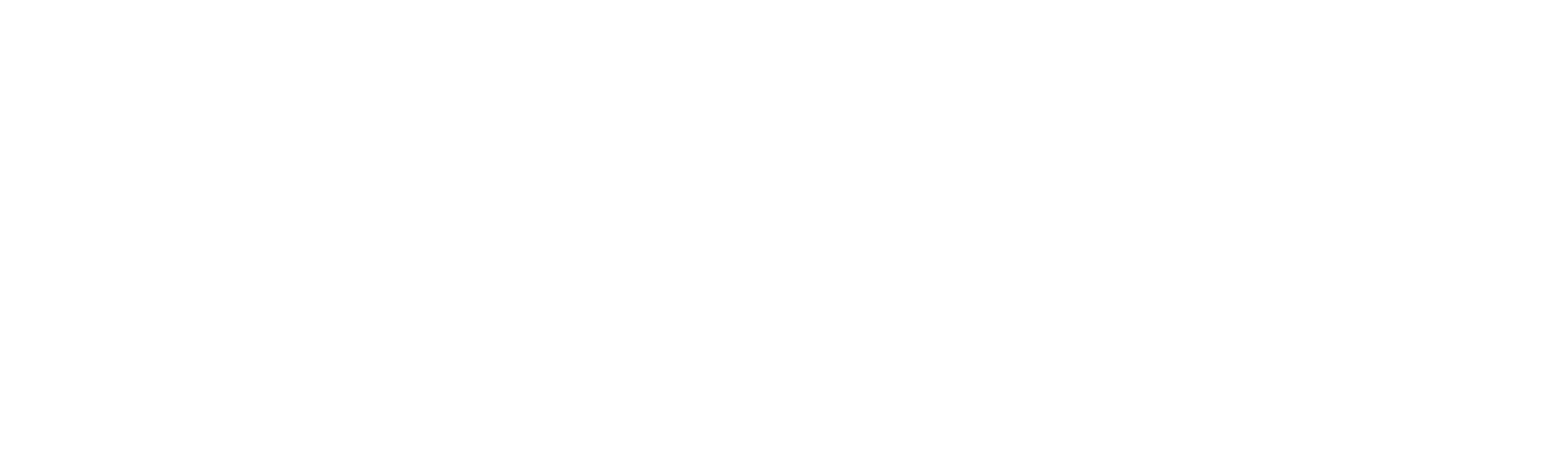 The Momentum Company